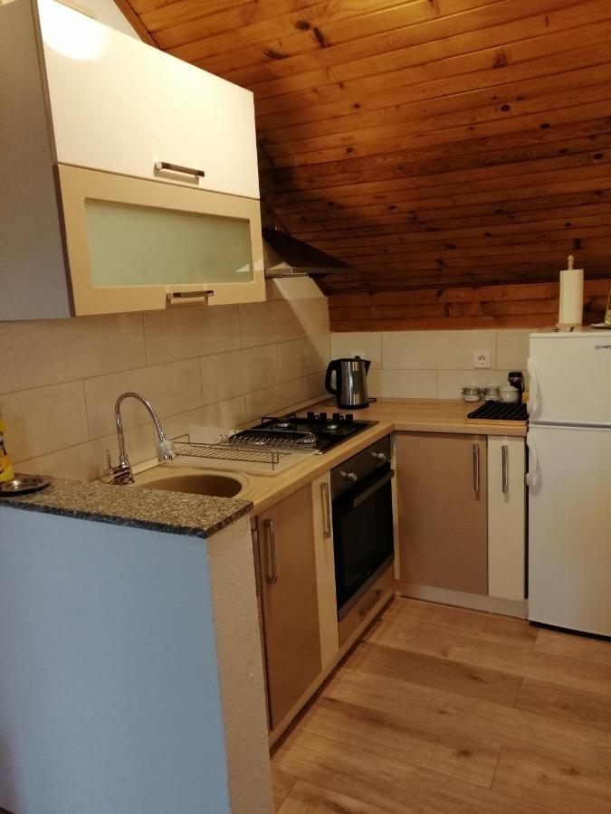 House Mihaela&Nina Apartment Seliste Dreznicko Bagian luar foto