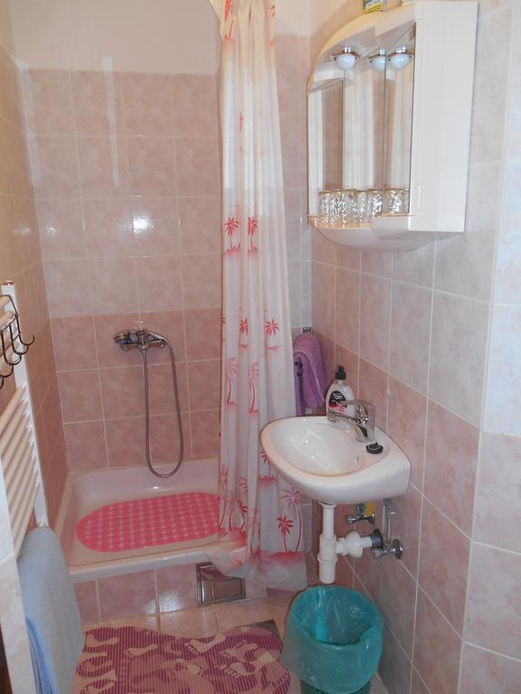 House Mihaela&Nina Apartment Seliste Dreznicko Bagian luar foto