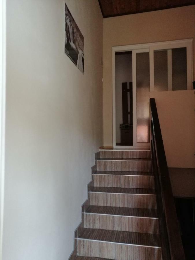 House Mihaela&Nina Apartment Seliste Dreznicko Bagian luar foto